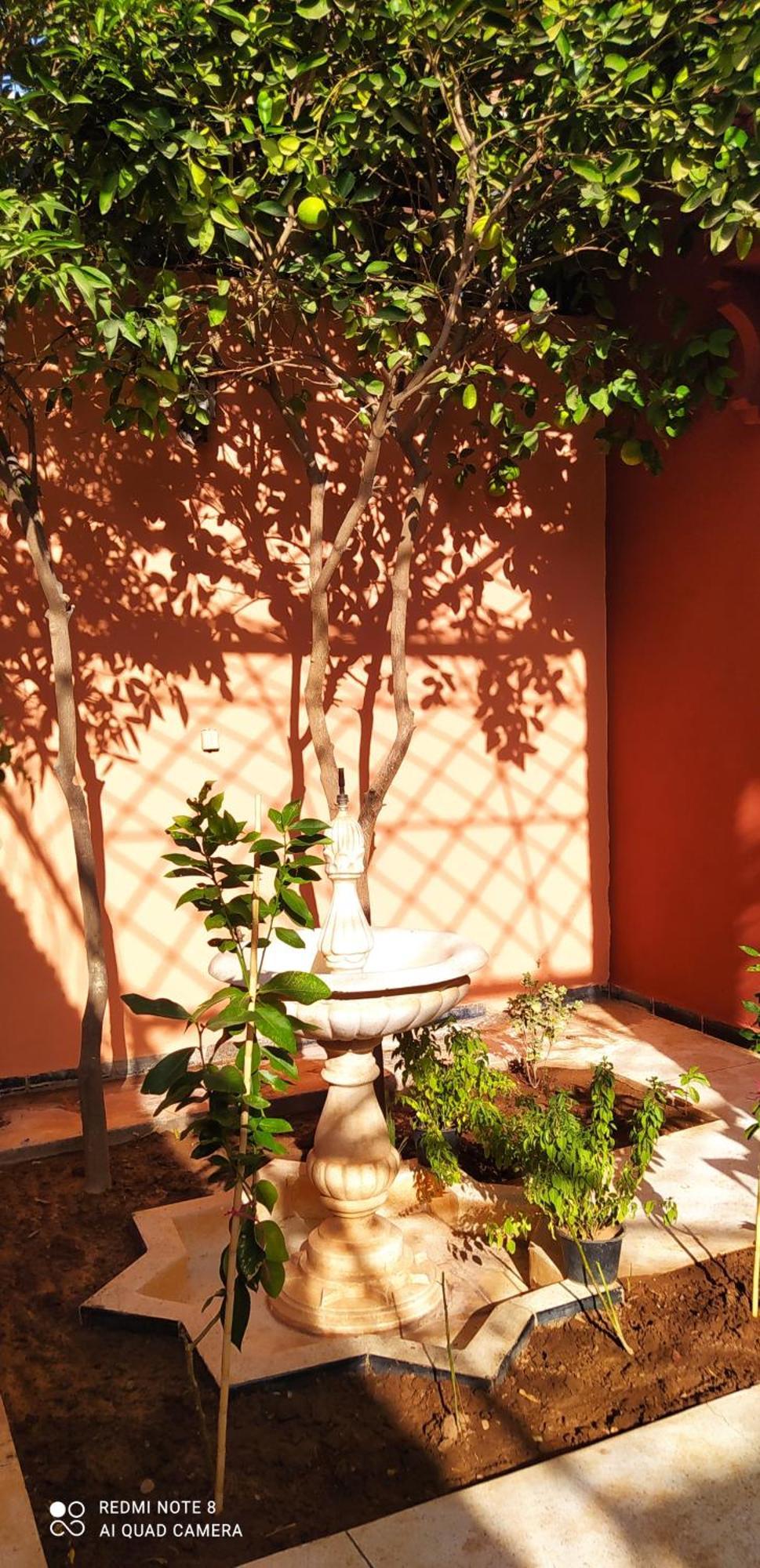 Maison D'Hotes Le Petit Jardin Marrakech مراكش المظهر الخارجي الصورة